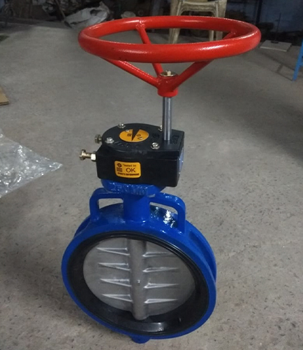 Industrial Butterfly Valve Exporter in Kenya